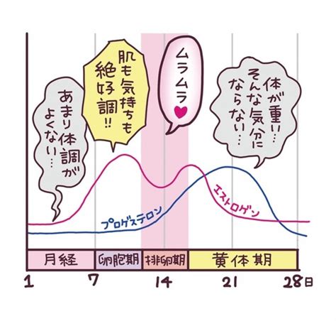 生理後は性欲が強くなる？生理周期別の性に関する過ごし方を紹介